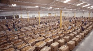 Packaging of Tobacco Products