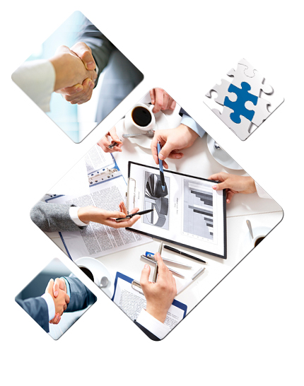 Consult with Foreign Partners to Invest