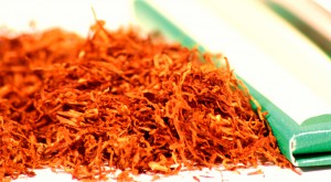 Supplier of Non Tobacco Materials