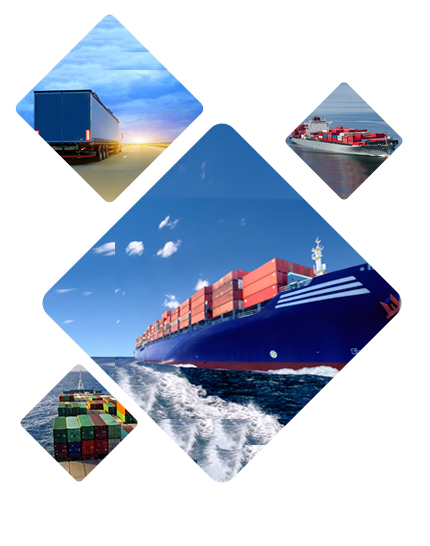 واردات-صادرات و پخش